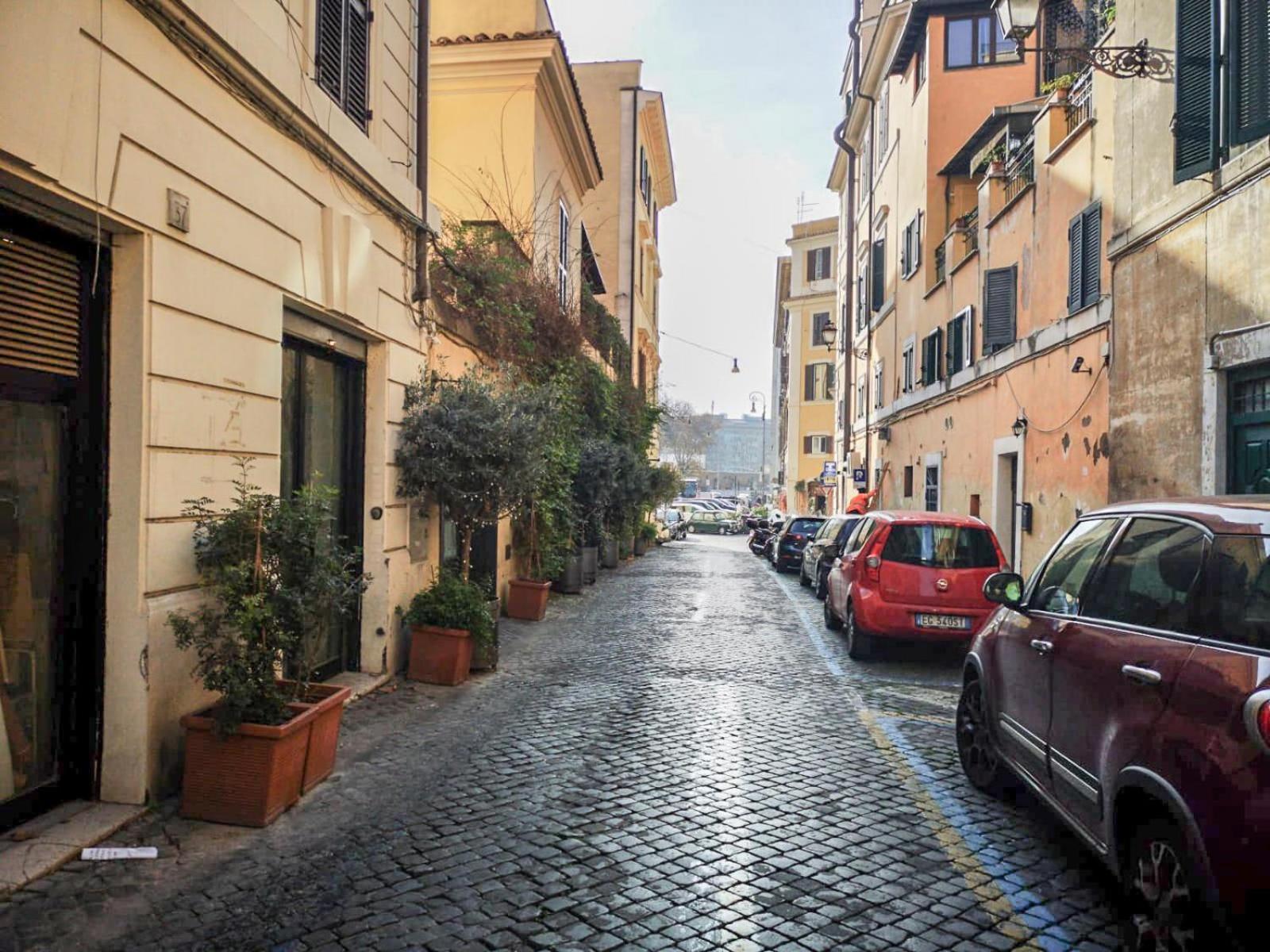 Flatinrome Trastevere Deluxe Rooms - Green Patio Екстериор снимка